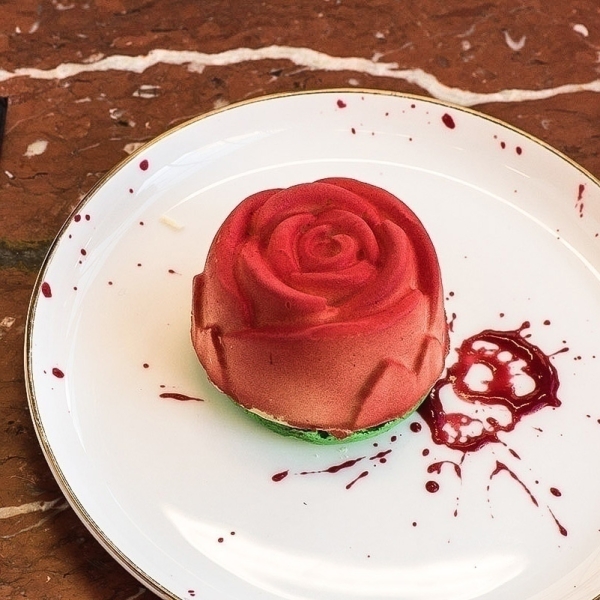 Strawberries & Cream Rose